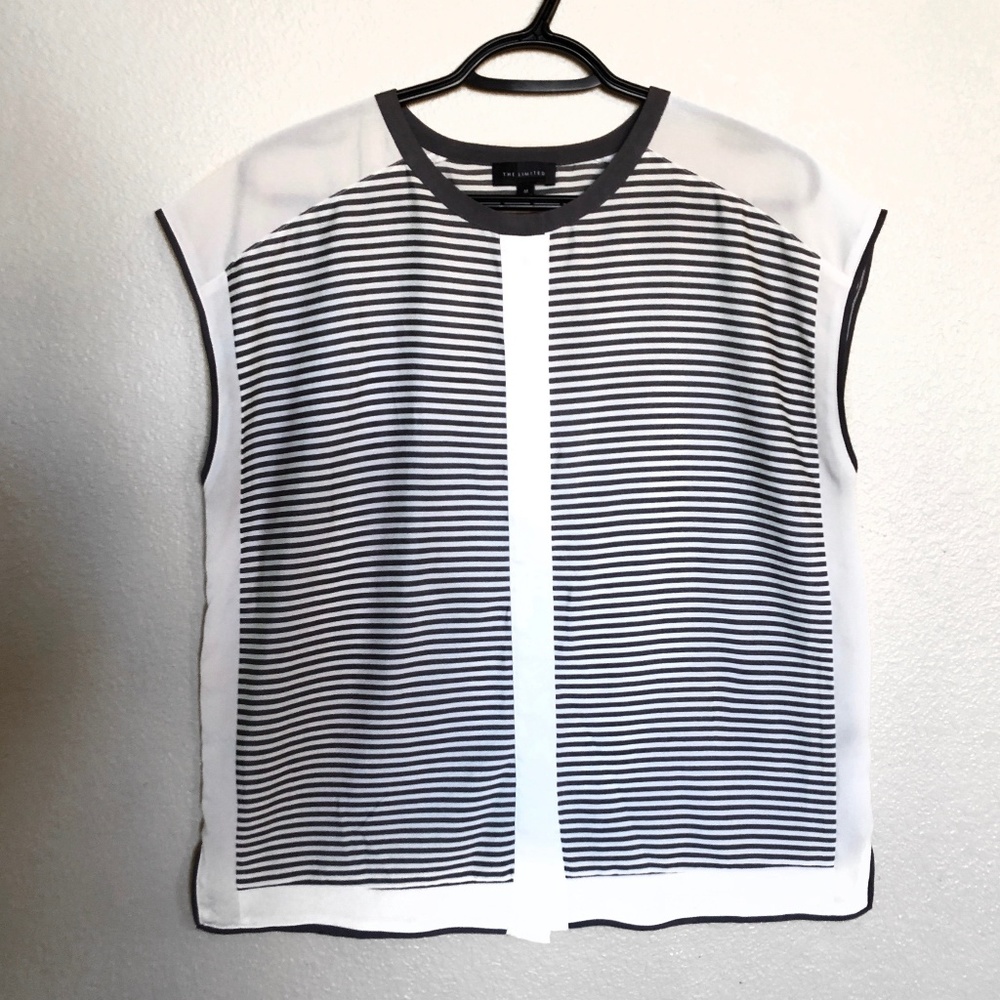 The Limited Stripe Boxy Shirt